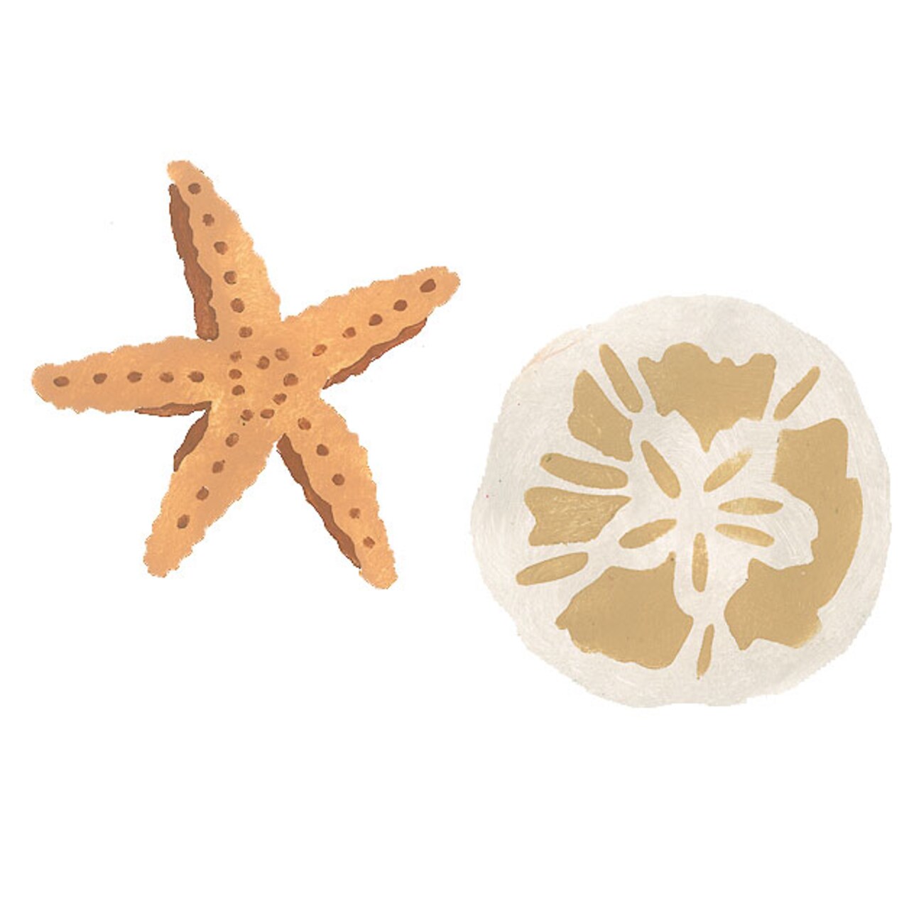 Starfish and Sand Dollar Wall Stencil | 3594 by Designer Stencils | Outdoor Stencils | Reusable Art Craft Stencils for Painting on Walls, Canvas, Wood | Reusable Plastic Paint Stencil for Home Makeover | Easy to Use & Clean Art Stencil